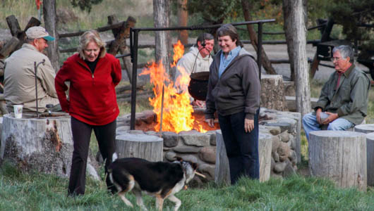 Pet Friendly Yellowstone Cabins