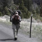 yellowstone lodging elephant head lodge hiking