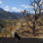 yellowstone lodging outdoor scenery